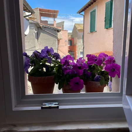 Appartamento Sh Olmo Ac E Wi-fi *